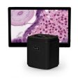 Accu-Scope Excelis™ HD Microscope Camera with HD Monitor Hot on Sale