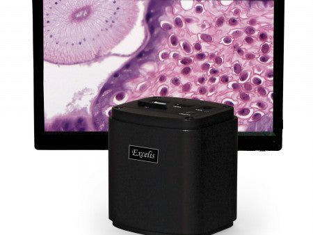 Accu-Scope Excelis™ HD Microscope Camera with HD Monitor Hot on Sale