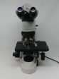 Nikon Microscope Eclipse 50i | Hematology Microscope For Discount