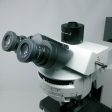 Olympus Microscope BX51 with DIC and Fluorescence Fashion