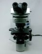 Olympus Microscope BX51 with DIC and Fluorescence Fashion