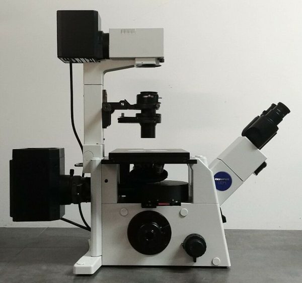 Olympus Microscope IX71 with Fluorescence and DIC Online