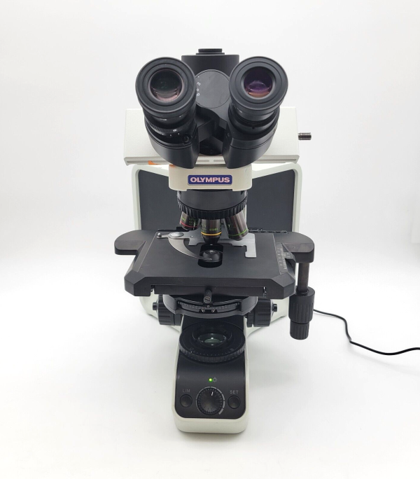 Olympus Microscope BX43 LED with Fluorites | Phase | Trinocular Andrology Hot on Sale