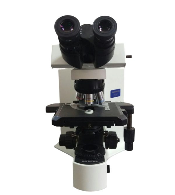 Olympus Microscope BX41 with Trinocular Head and Camera Package Hot on Sale