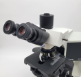 Olympus Microscope BX43 LED with Fluorites | Phase | Trinocular Andrology Hot on Sale