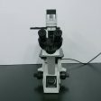 Olympus Microscope CK30 Inverted with Phase Contrast For Cheap