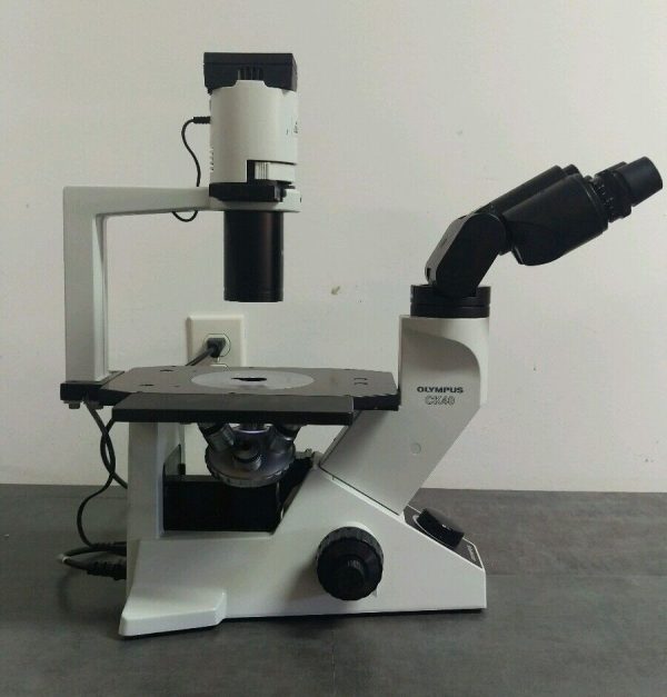 Olympus Microscope CK40 Phase Contrast Tissue Culture Supply