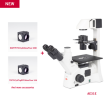 Motic AE31E with FITC and TRITC Filter Fluorescence Bundle Microscope For Discount