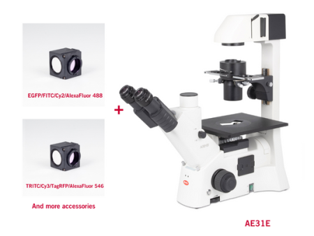 Motic AE31E with FITC and TRITC Filter Fluorescence Bundle Microscope For Discount