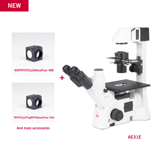 Motic AE31E with FITC and TRITC Filter Fluorescence Bundle Microscope For Discount