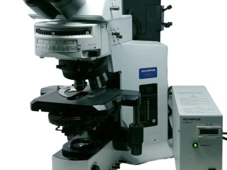 Olympus Microscope BX51 with DIC and Fluorescence Fashion