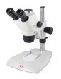 Motic SMZ-171 Stereo Microscope Online