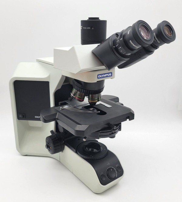 Olympus Microscope BX43 LED with Fluorites | Phase | Trinocular For Discount