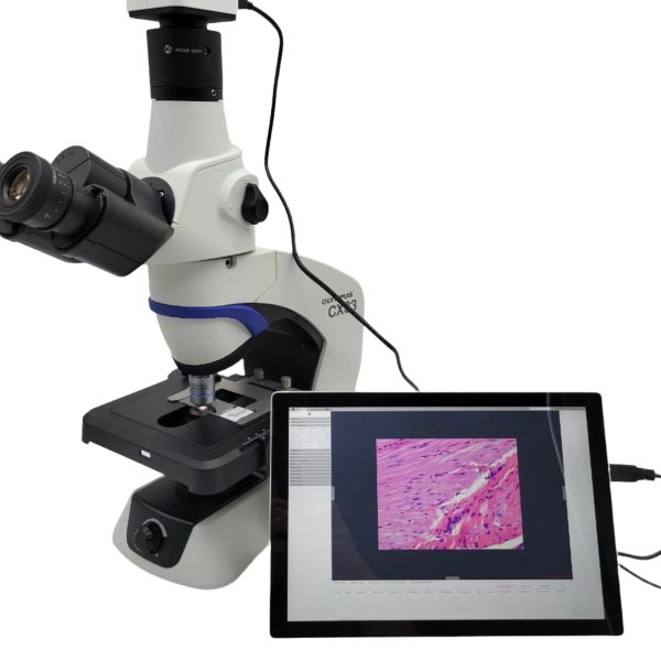 Olympus Microscope CX33 LED with Trinocular Head and Camera Discount