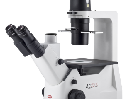 Motic AE2000 Binocular - with PL PH 20X Microscope For Cheap