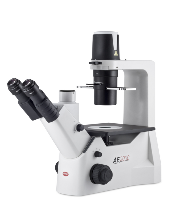 Motic AE2000 Binocular - with PL PH 20X Microscope For Cheap