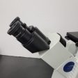 Olympus Microscope IX71 with HMC Hoffman Modulation Contrast For Sale