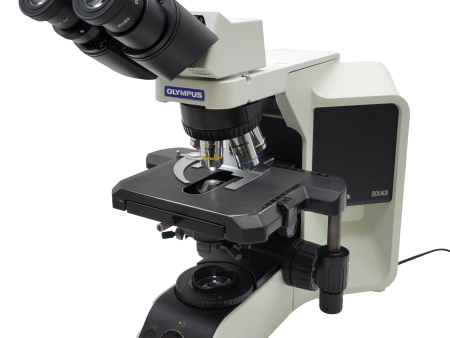 Olympus Microscope BX43 with Fixed Binocular Head and 100x Online Sale