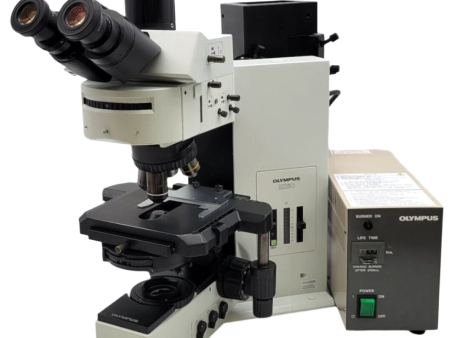 Olympus Microscope BX60 with Fluorescence, Phase Contrast, & Fluorite Objectives Supply