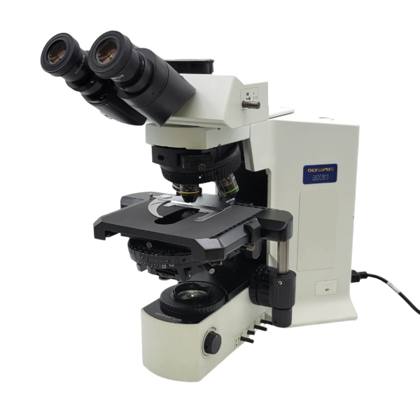 Olympus Microscope BX51 LED for DIC and Nomarksi Discount