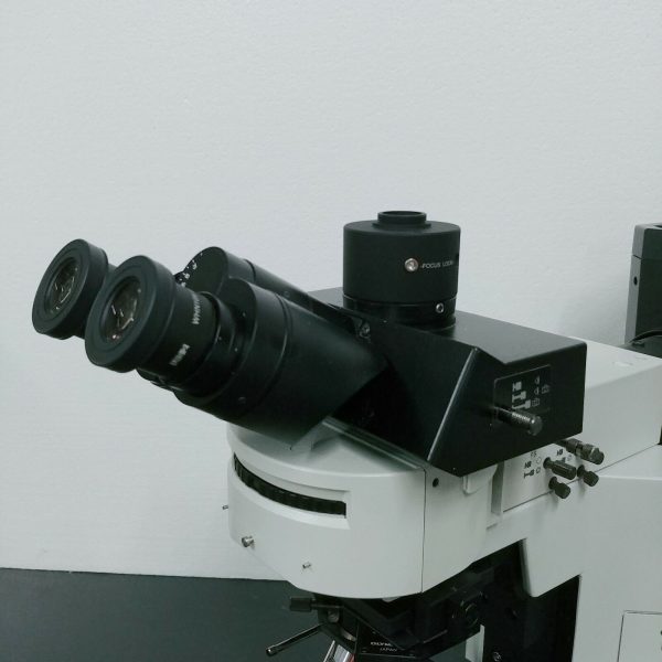 Olympus Microscope BX50 Water Immersion with Fluorescence and DIC Supply