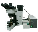 Olympus Microscope BX50 Water Immersion with Fluorescence and DIC Supply