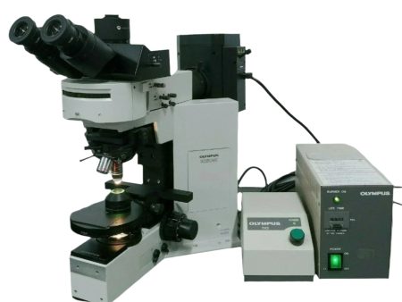 Olympus Microscope BX50 Water Immersion with Fluorescence and DIC Supply