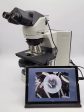 Nikon Microscope Eclipse 80i with DIC and Camera Online Hot Sale