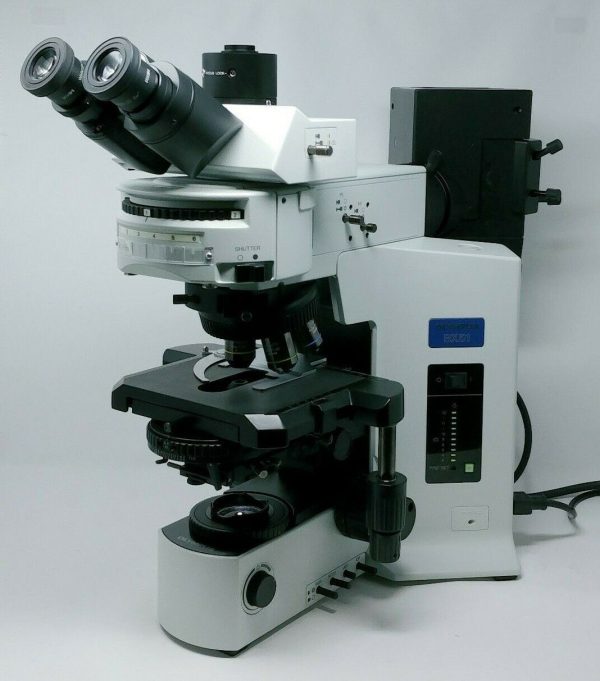 Olympus Microscope BX51 with DIC and Fluorescence Fashion