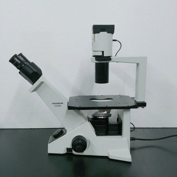 Olympus Microscope CK30 Inverted with Phase Contrast For Cheap