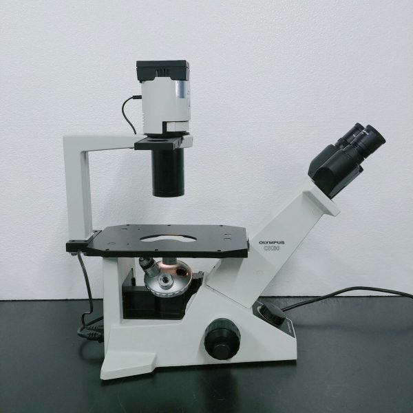 Olympus Microscope CK30 Inverted with Phase Contrast For Cheap