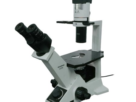 Olympus Microscope CK30 Inverted with Phase Contrast For Cheap