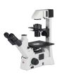 Motic AE31 Elite LED Trinocular Inverted Microscope Sale