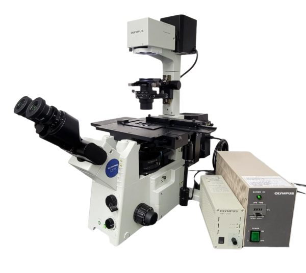 Olympus Microscope IX71 with Fluorites, Phase Contrast, and Fluorescence Online now