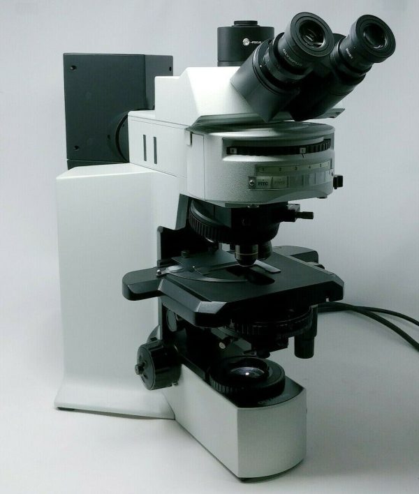 Olympus Microscope BX51 with DIC and Fluorescence Fashion