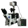 Olympus Microscope IX71 with Fluorescence and DIC Online