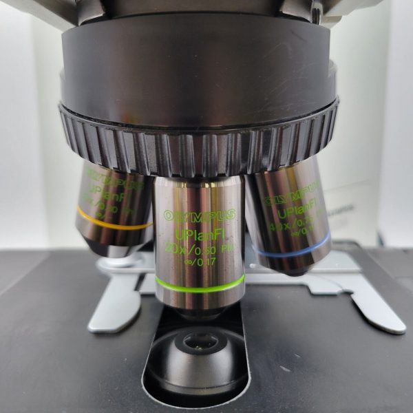 Olympus Microscope BX60 with Fluorescence, Phase Contrast, & Fluorite Objectives Supply