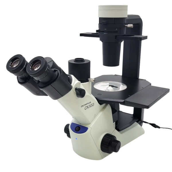 Olympus Microscope CKX53 | Top Tissue Culture Pick on Sale