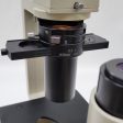 Nikon Microscope Inverted TMS Phase Contrast Tissue Culture with Trinocular Head Sale