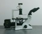 Olympus Microscope CK40 with Fluorescence, Phase Contrast, and Binocular Head Online now