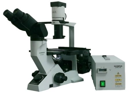 Olympus Microscope CK40 with Fluorescence, Phase Contrast, and Binocular Head Online now