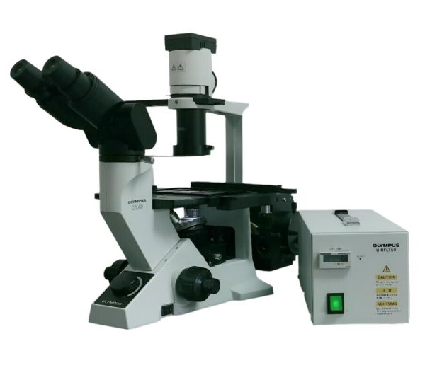 Olympus Microscope CK40 with Fluorescence, Phase Contrast, and Binocular Head Online now