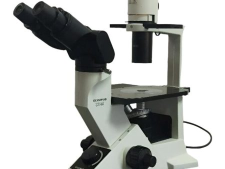 Olympus Microscope CK40 Phase Contrast Tissue Culture Supply