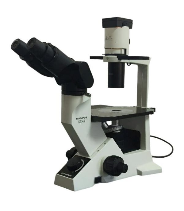 Olympus Microscope CK40 Phase Contrast Tissue Culture Supply