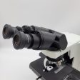 Olympus Microscope BX41 LED for Pathology with a camera Fashion