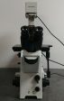 Olympus Microscope IX71 with Fluorescence and DIC Online