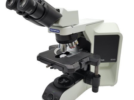 Olympus Microscope BX43 with Fixed Binocular Head & 2x Objective Pathology Sale