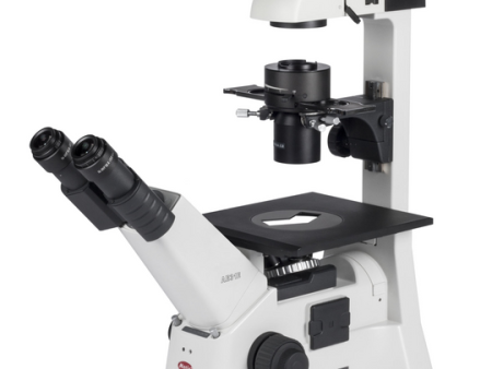 Motic AE31 Elite LED Trinocular Inverted Microscope Sale