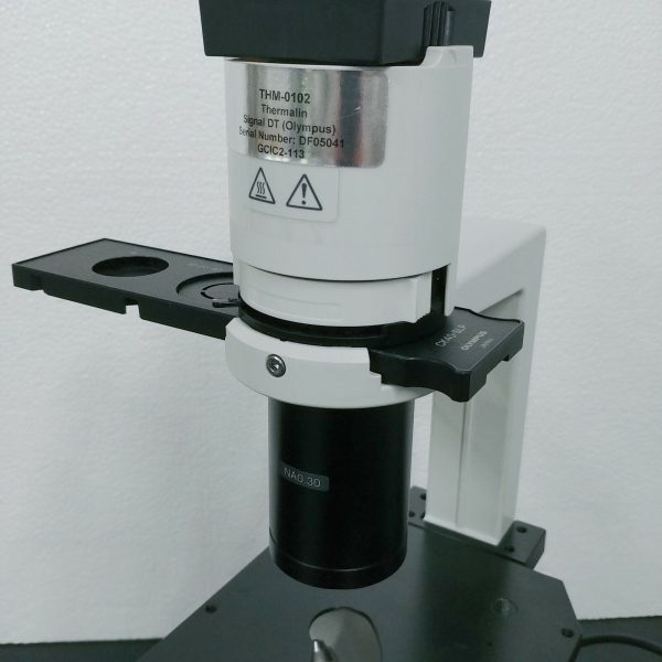 Olympus Microscope CK30 Inverted with Phase Contrast For Cheap