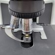 Olympus Microscope BX43 with Fixed Binocular Head and 100x Online Sale